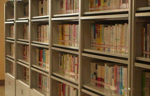 圖書漂流啟航，知識于濰坊理工學院圖書館流淌